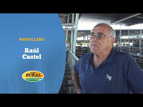 Livelier market and rising prices at the Cañuelas MAG, with strong demand for beef and cattle.