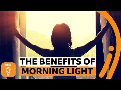 Why is morning light so important? | BBC Ideas