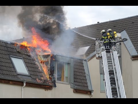 Feueralarm in Wohnheim am Hornkamp: Wespennest als Ursache festgestellt