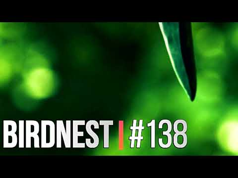 The Lahar - BIRDNEST #138 | October 2023