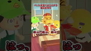 ペットのアヒルを食べようとする嫌な金持ちwww [あつまれどうぶつの森]