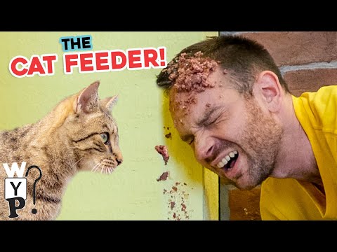 The Cat Feeder  |  What's Your Problem?