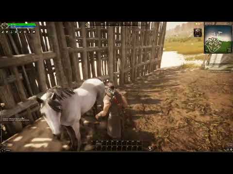 Steam Community :: Video :: The Quinfall le 25/01/2025 Version courte