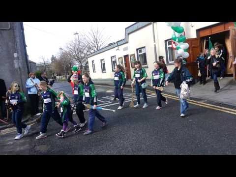 Liam Mellows GAA Club - St Patricks Day 2013