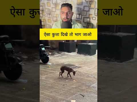 ऐसा कुत्ता दिखे तो भाग जाओ #reels #shortsviral #facts