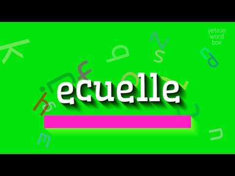 How to say "ecuelle"! (High Quality Voices)