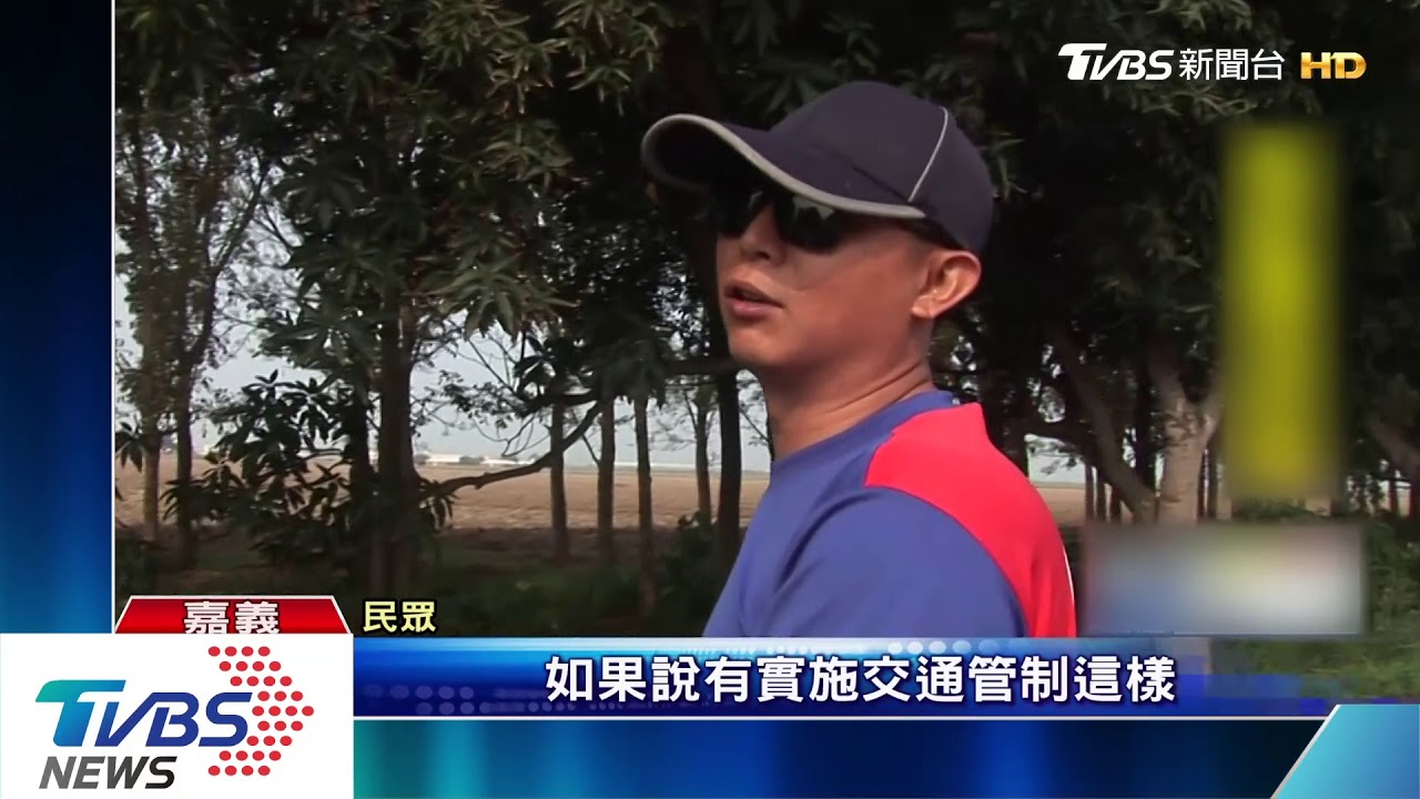 季節限定!芒果成熟 公所封路開放打果