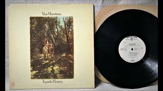 VAN MORRISON (Wild Night) 2023 Remaster