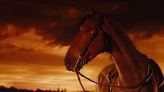 War Horse - Gang on the Run [Black Beauty]