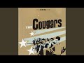 Cougars Rock