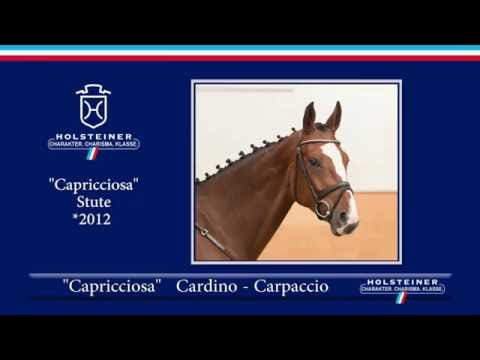 107 - Capricciosa v. Cardino - Carpaccio / Eindrücke vom Turnier