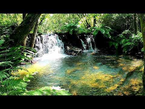 PR 2 Percurso pedestre da Fraga