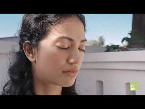 100 g ecoheal stevia powder