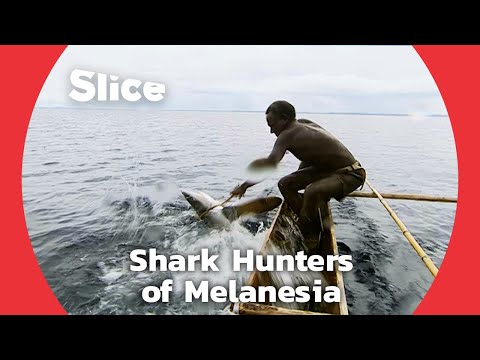 Boys Catching Sharks to Become a Man | SLICE