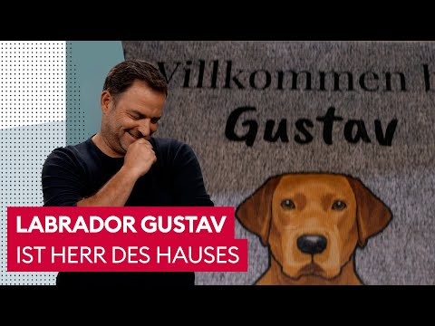 Prinz Gustav tanzt seinen Herrchen auf der Nase herum | Der Hundeprofi