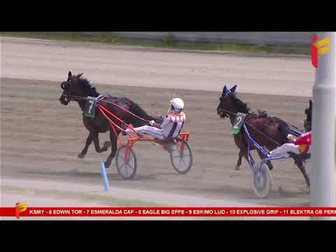 I Corsa del 13 Maggio 2023 - 3 Anni - Metri 1600