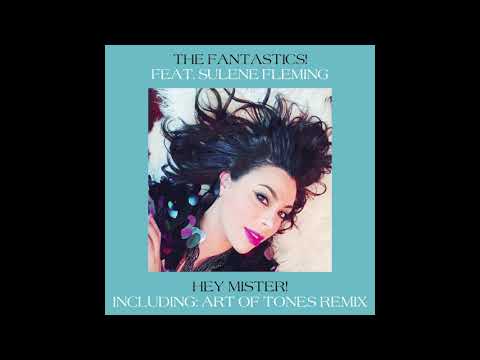 The Fantastics! - Hey Mister!