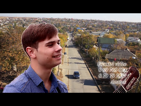 Sergiu Titica - Satul meu