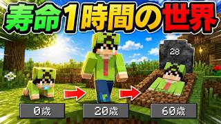 【マイクラ】１時間で死んでしまう世界が楽しすぎた【マインクラフト】【OHOL】【自作プラグイン】