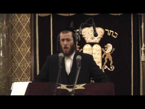 Cantorial Concert: Ushi Blumenberg Singing "V'lirushalayim Ircho" (Watch in HD !!!) 14
