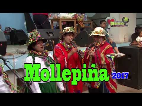 Mollepiñatv;  comparsa  Virgen de Carmen de MOLLEPIÑA