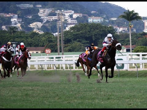 GP Diana 2017 -  No Regrets