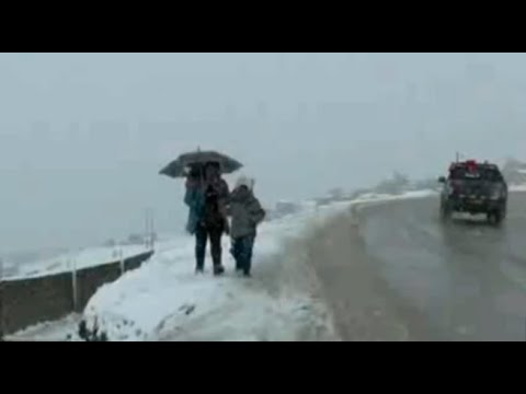 Cerro de Pasco amaneció este jueves con intensa nevada