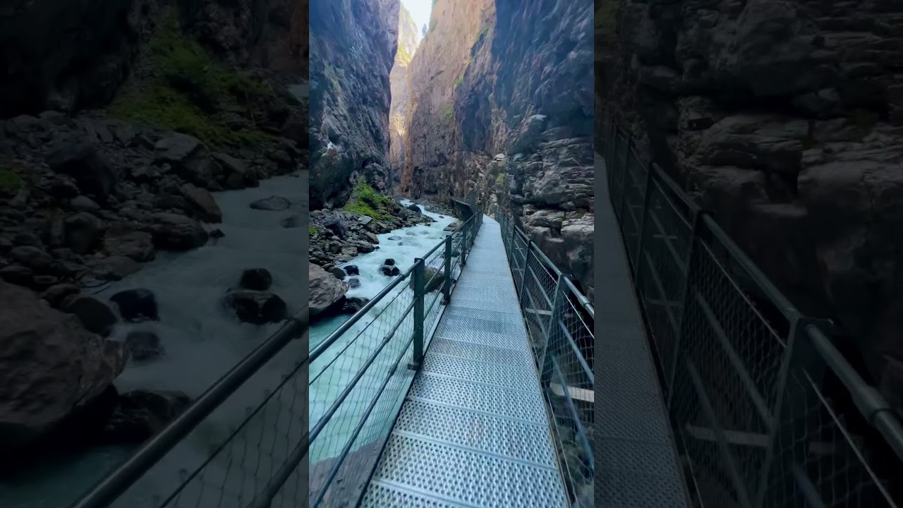 YouTube Short thumbnail