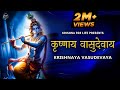 Krishnaya Vasudevaya Haraye Paramatmane Krishna Mantra Krishna Flute Music Krishna Lofi Song