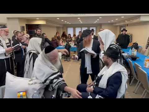 Sandik kois by mm bris