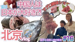 【海外生活】大迫力‼︎マグロ解体ショー日本料理は大人気 l 突然雹が降ってきた l トリリンガル教育