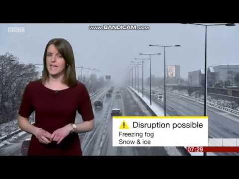 Alex Osbourne BBC Points West weather January 31st 2019 High Quality