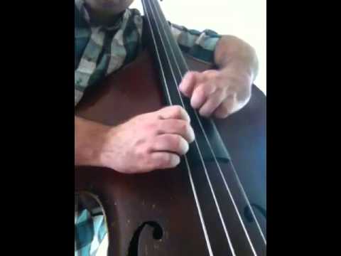 Two hands. Damon Smith solo double bass