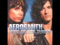 Aerosmith Heart's Done Time Mansfield 1988 ...