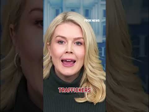 Leavitt: Minnesota Dems’ ‘wrong and illegal’ obstruction led to tragedy #shorts #us #news #ICE