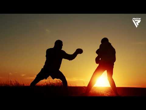 RDX T15 MMA - High-Performance Fight Shorts | CombatCorner