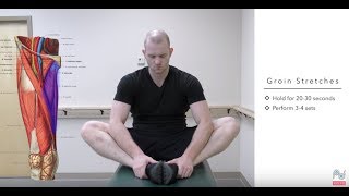 Top Treatments for a Pulled Groin - Groin Strain Exercises