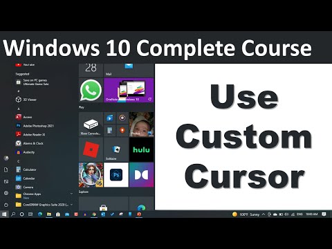 How to Use Custom Cursor in Windows 10 | Urdu Hindi