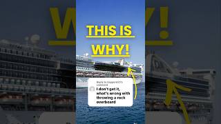 This is why you shouldn’t throw anything overboard from a cruise ship! ￼#cruiseship #cruiselife