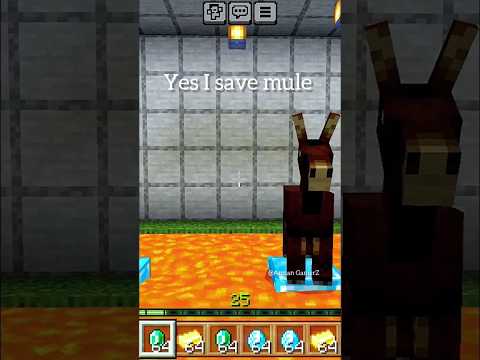 UNBELIEVABLE: I saved a mule in Minecraft? 😱🐴🔥 #shorts