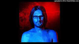 Steven Wilson - People Who Eat Darkness (Demo)