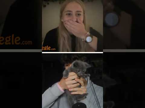 MY KITTEN RIZZ’D HER UP 😍 #shorts #viral #rizz #omegle