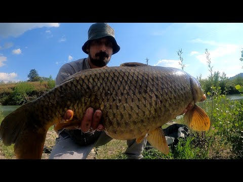 Carpfishing in fiume, di inizio autunno!