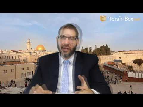 Vayishlach: The Eternal Conflict Between Yaakov and Esav (Rav Avi Grossman)