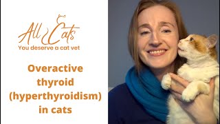 Overactive thyroid (hyperthyroidism ) in cats