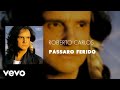 Roberto Carlos - Pássaro Ferido (Áudio Oficial)