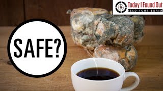 Is It Safe to Eat Moldy Bread or Moldy Cheese?