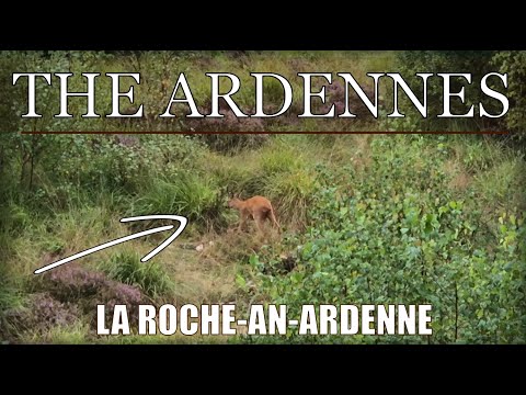 Hiking in the Ardennes - La Roche-en-Ardenne - Forest, Deer & Western Music