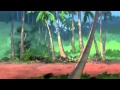 Lilo Stitch It S Nice To Live On An Island With No Large Cities