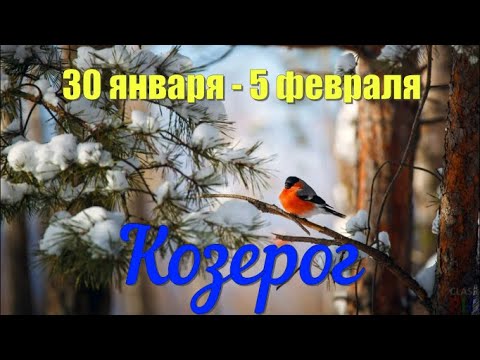 30 января - 5 февраля.КОЗЕРОГ♑️